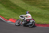 Vintage-motorcycle-club;eventdigitalimages;mallory-park;mallory-park-trackday-photographs;no-limits-trackdays;peter-wileman-photography;trackday-digital-images;trackday-photos;vmcc-festival-1000-bikes-photographs